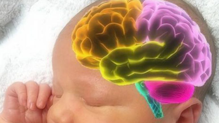 Bebeklerde Beyin Gelişimi